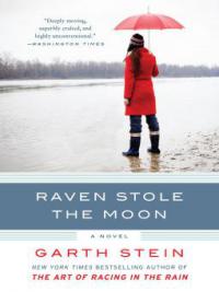 Raven Stole the Moon - Garth Stein