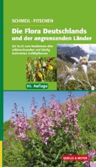 Die Flora Deutschlands und der angrenzenden Länder - Otto Schmeil, Jost Fitschen