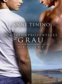 Achtzehnprozentiges Grau (18% Gray) - Anne Tenino