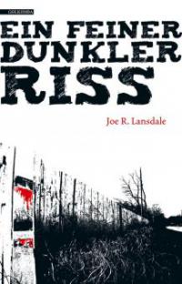 Ein feiner dunkler Riss - Joe R. Lansdale