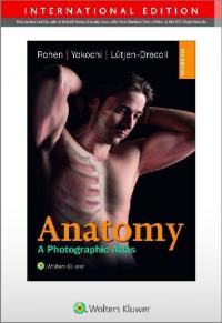 Anatomy - 