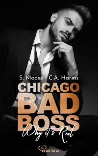 Chicago Bad Boss - Why it's Real - 