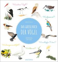 Das große Buch der Vögel - 