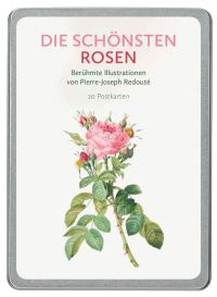Die schönsten Rosen - 