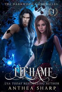 Elfhame: A Dark Elf Fairytale (The Darkwood Chronicles, #1) - 