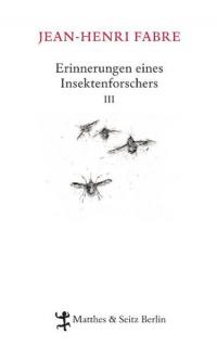 Erinnerungen eines Insektenforschers III - 