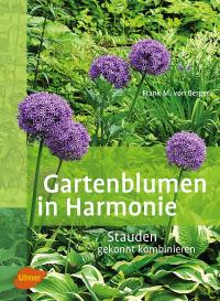Gartenblumen in Harmonie - 