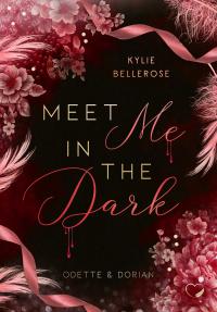 Meet me in the Dark - 