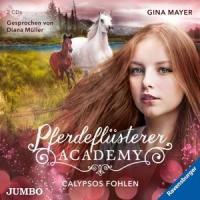 Müller, D: Pferdeflüsterer-Academy (6).Calypsos Fohlen - 