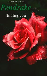 Pendrake 2- Finding you - 