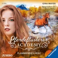 Pferdeflüsterer-Academy (7).Flammendes Herz - 