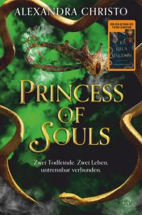 Princess of Souls - 