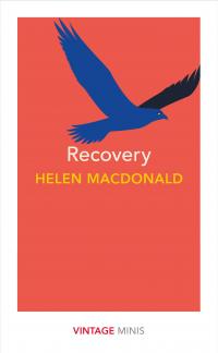 Recovery - 