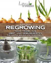 Regrowing –  Neue Triebe aus Obst- und Gemüseresten - 