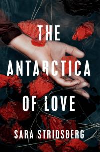 The Antarctica of Love - 