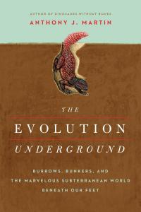 The Evolution Underground - 