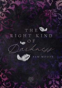 The right kind of Darkness - 