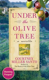Under the Olive Tree - 