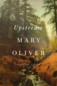 Upstream - 