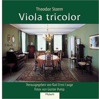 Viola tricolor - 