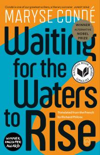 Waiting for the Waters to Rise - 