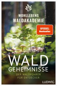 Waldgeheimnisse - 