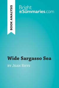 Wide Sargasso Sea by Jean Rhys (Book Analysis) - 