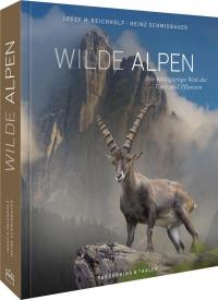 Wilde Alpen - 