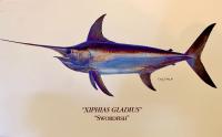 Xiphias gladius - The Fish of My Lifetime... a short story by Michael Fowlkes - 