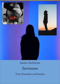 Zerrissen - 