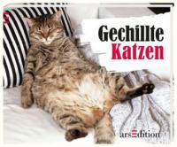 Gechillte Katzen - Paulus Vennebusch