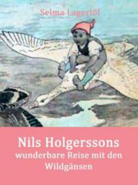 Nils Holgerssons wunderbare Reise mit den Wildgänsen - Selma Lagerlöf