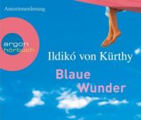Blaue Wunder - Ildikó Kürthy