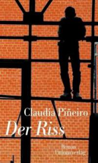 Der Riss - Claudia Pineiro