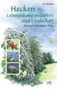 Hecken - Lebensräume in Garten und Landschaft - Uwe Westphal