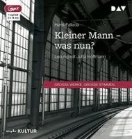Kleiner Mann - was nun?, 1 MP3-CD - Hans Fallada