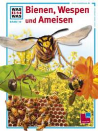 Bienen, Wespen und Ameisen - Sabine Steghaus-Kovac