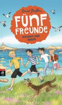 Fünf Freunde meistern jede Gefahr - Enid Blyton