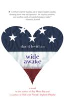 Wide Awake - David Levithan