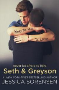 Seth & Greyson (The Coincidence Series, #6.5) - Jessica Sorensen