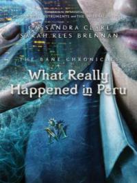 What Really Happened in Peru - Sarah Rees Brennan